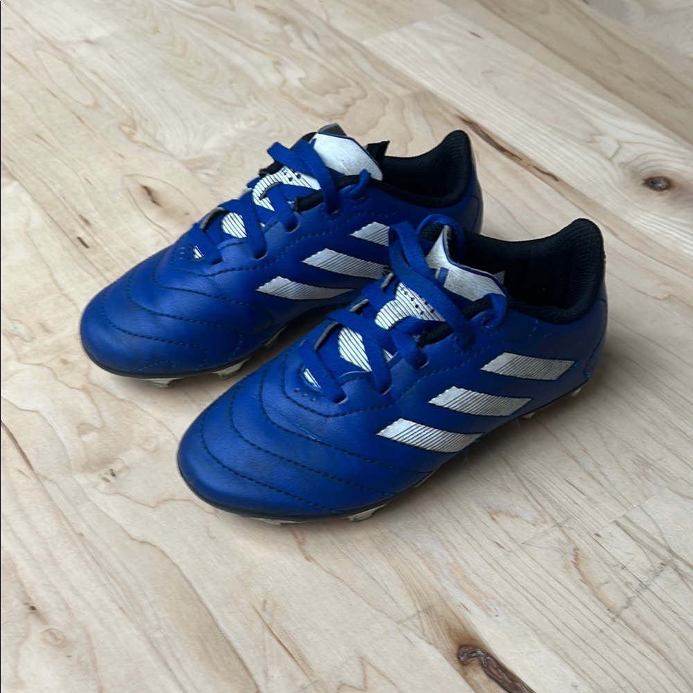 Adidas Blue and White Sneakers with Iconic Stripes